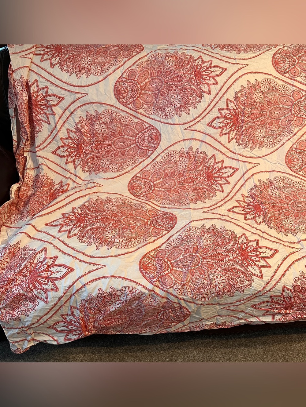 Pottery Barn Paisley Medallion Duvet Cover Twin Size With Standard Sham